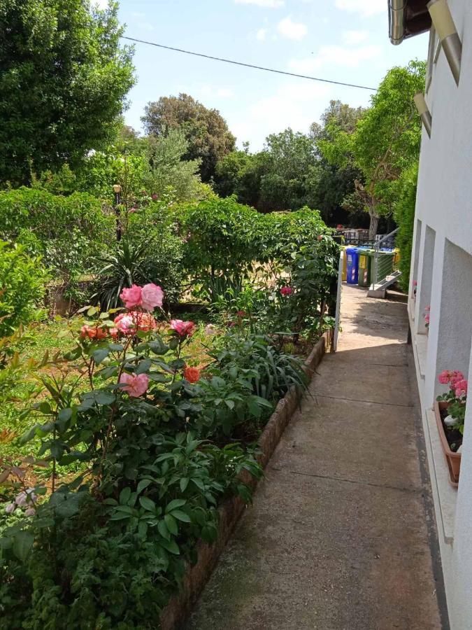 Appartement Sara